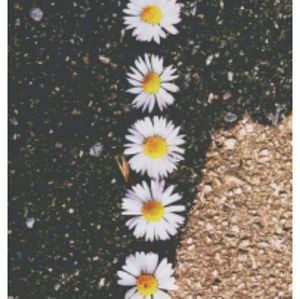 Meet your Posher, Radica